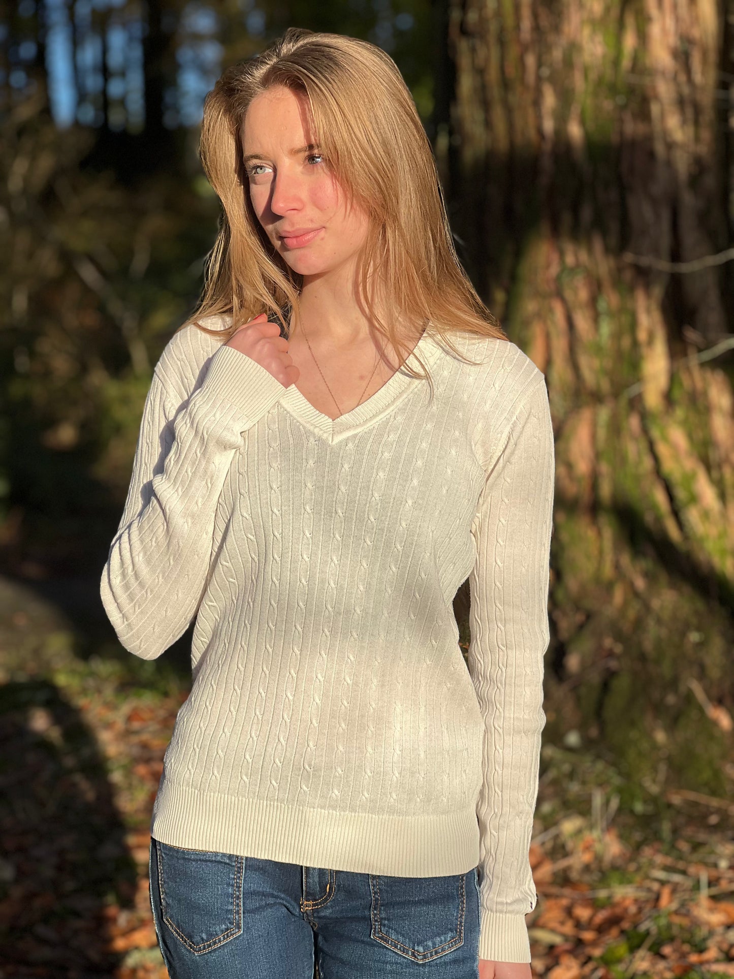 Tommy hilfiger jumper sale best sale